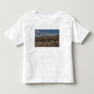 Gentoo Penguin (Pygoscelis papua) colony on West Toddler T-Shirt