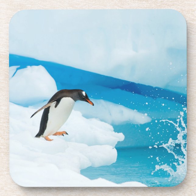 gentoo penguin, Pygoscelis Papua, jumping off Coaster (Front)