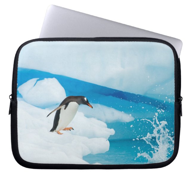 gentoo penguin, Pygoscelis Papua, jumping off Laptop Sleeve (Front)