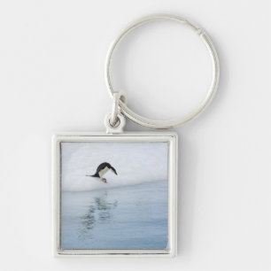 Gentoo penguin (Pygoscelis papua) Key Ring