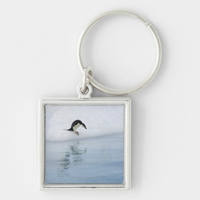 Gentoo penguin (Pygoscelis papua) Key Ring (Front)