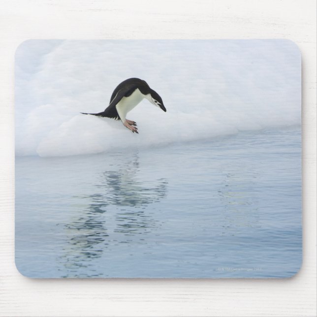 Gentoo penguin (Pygoscelis papua) Mouse Pad (Front)