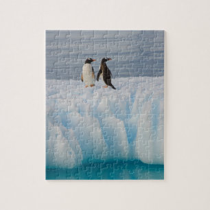 gentoo penguin, Pygoscelis Papua, on glacial ice Jigsaw Puzzle
