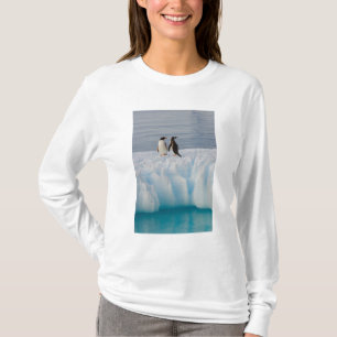gentoo penguin, Pygoscelis Papua, on glacial ice T-Shirt
