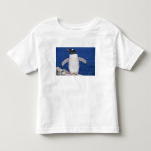 Gentoo Penguin Pygoscelis papua) Port Toddler T-Shirt