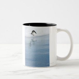 Gentoo penguin (Pygoscelis papua) Two-Tone Coffee Mug