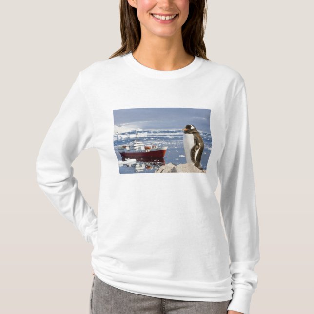 Gentoo Penguin T-Shirt (Front)