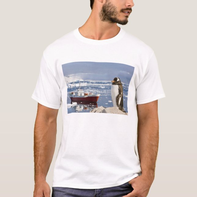 Gentoo Penguin T-Shirt (Front)