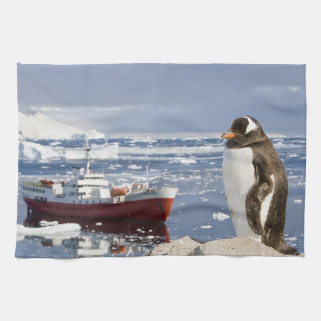 Gentoo Penguin Tea Towel (Horizontal)