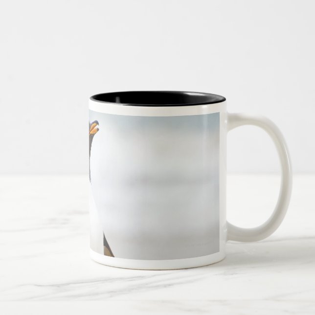 Gentoo Penguin Two-Tone Coffee Mug (Right)