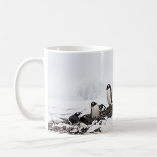 Gentoo penguins, Antarctica, Vernadsky Station. Coffee Mug