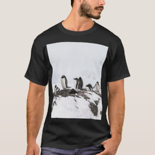 Gentoo penguins, Antarctica, Vernadsky Station. T-Shirt