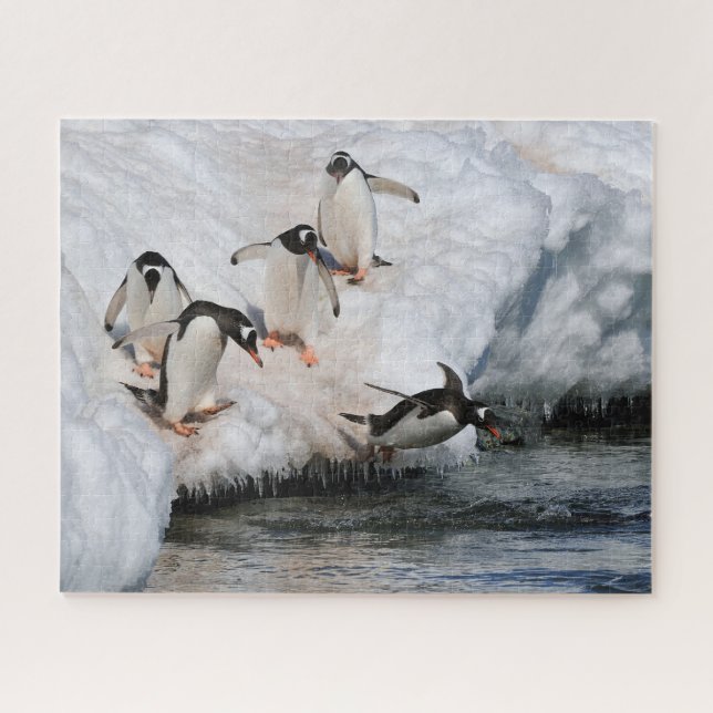 Gentoo Penguins Jumping into Water in Antarctica Jigsaw Puzzle (Horizontal)