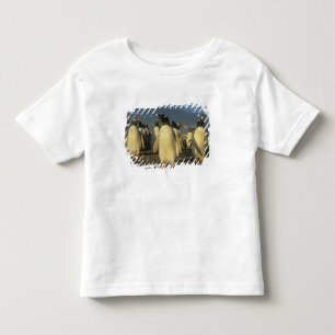Gentoo Penguins, (Pygoscelis papua), Falkland Toddler T-Shirt