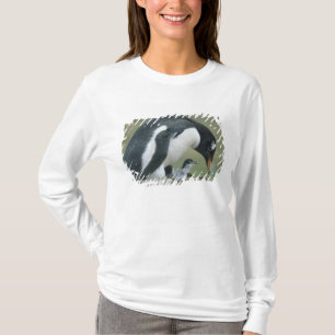 Gentoo Penuin, (Pygoscelis papua), Falkland T-Shirt