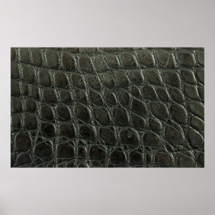 Genuine black alligator leather texture, close up poster