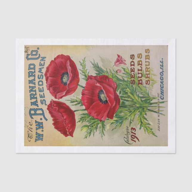 Genuine (not AI) 1913 Seed Catalogue Cover Poppies Tissue Paper (Front)