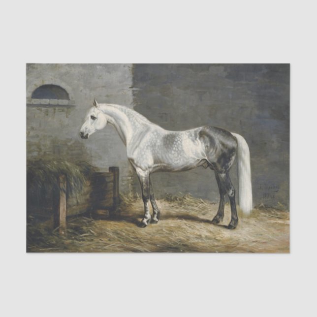 Genuine (Not AI) Dapple Grey Horse Painting Tissue Paper (Front)