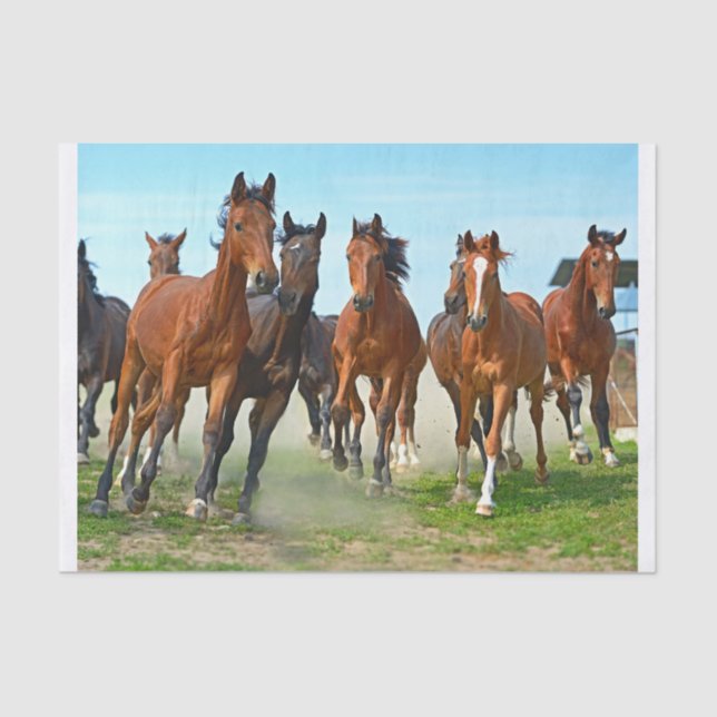 Genuine (not AI) Image of Running Galloping Horses Tissue Paper (Front)