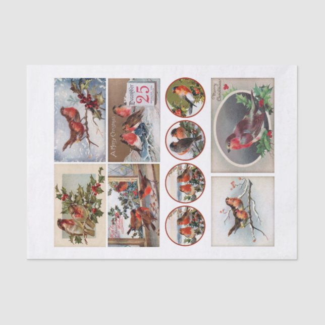 Genuine (not AI) Robin Bird Ephemera Fussy Cuts Tissue Paper (Front)