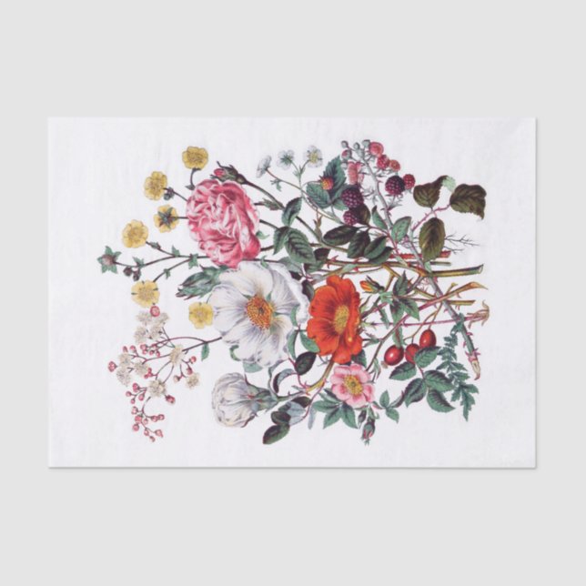 Genuine (not AI) Vintage Botanical Flowers Tissue Paper (Front)