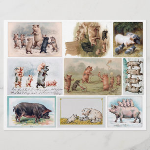 Genuine (not AI) Vintage Pig Postcards
