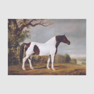 Genuine (not AI) Vintage Pinto Horse Painting Tissue Paper