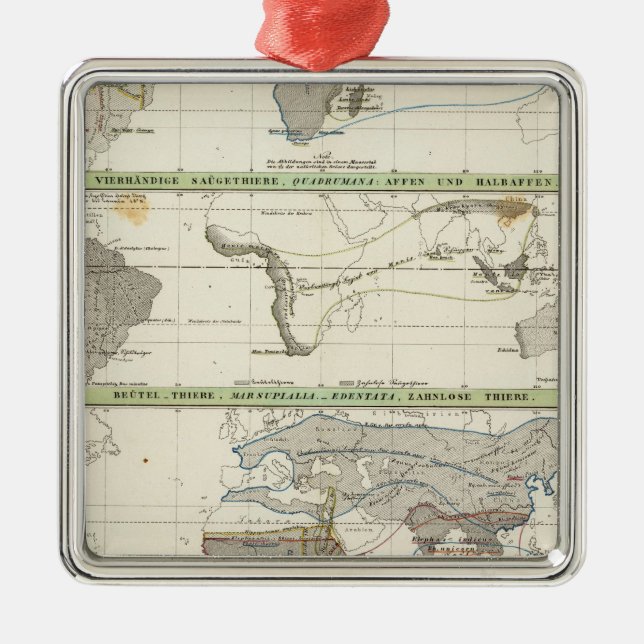 Geographical Distribution Metal Ornament (Front)