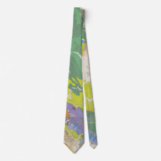Geologic Map of Westside San Joaquin Tie
