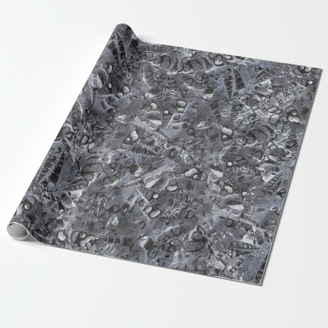 Geologic marine life motif black and white print  wrapping paper (Unrolled)