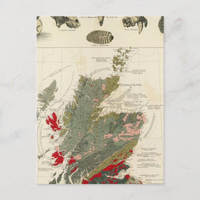Geological, palaeontological map British Islands Postcard (Front)