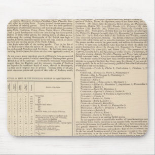 Geology and Paleontology of the British Isles Mouse Pad