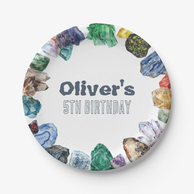 Geology Birthday Rocks Dig Party Paper Plate (Front)