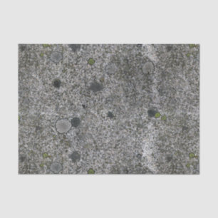 Geology Grey Granite Rock with Moss Tissue Paper