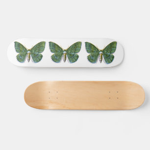 Geometra papilionaria - The Large Emerald Moth Skateboard