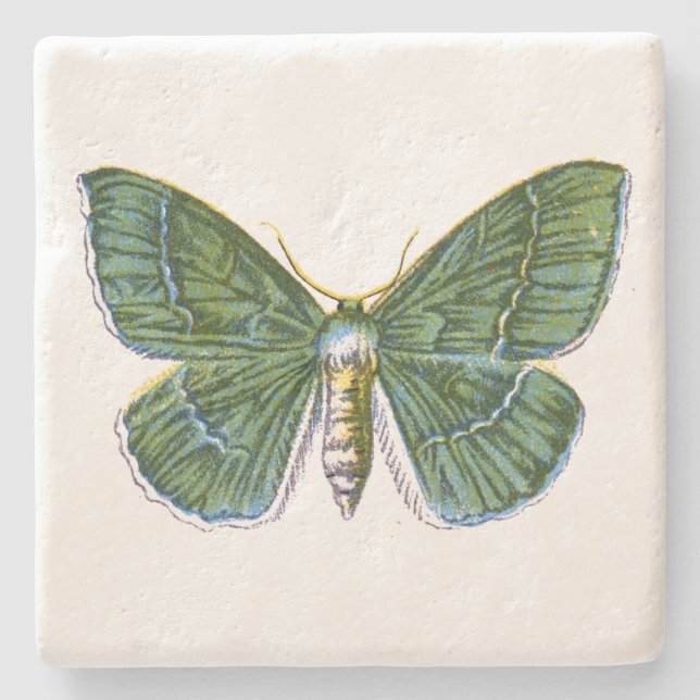 Geometra papilionaria - The Large Emerald Moth Stone Coaster (Front)