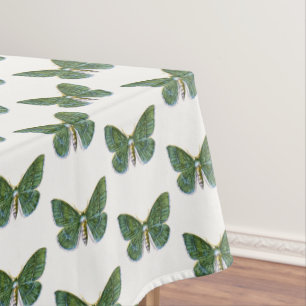 Geometra papilionaria - The Large Emerald Moth Tablecloth