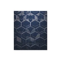 "Geometric Elegance: Hexagonal Artistry