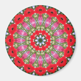 Geometric Kaleidoscope Magnet