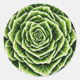 Geometric Lettuce Pattern Blending Nature Classic Round Sticker