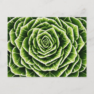 Geometric Lettuce Pattern Blending Nature  Postcard