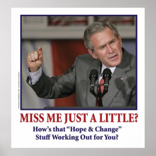 George Bush/Miss Me Just a Little? Poster