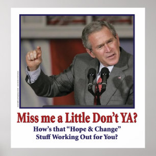 George Bush/Miss Me Just a Little? Poster