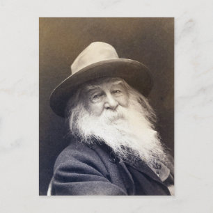 George C. Cox Walt Whitman Postcard