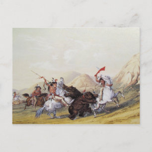 George Catlin - Attacking the Grizzly Bear Postcard
