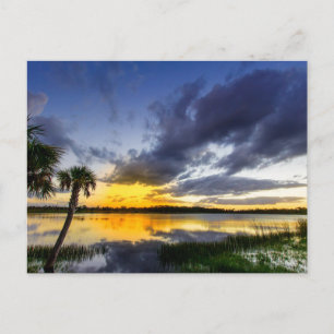 George Lestrange Preserve, Fort Pierce, Florida Postcard