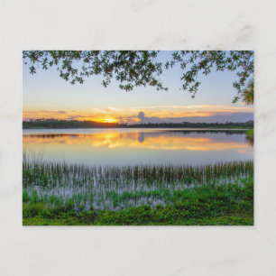 George Lestrange Preserve, Fort Pierce, Florida Postcard
