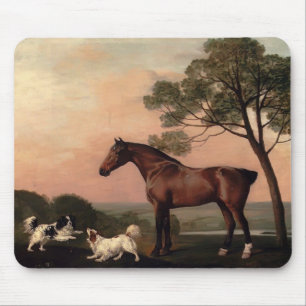 George Stubbs- A Bay Hunter With Two Spaniels Mouse Pad
