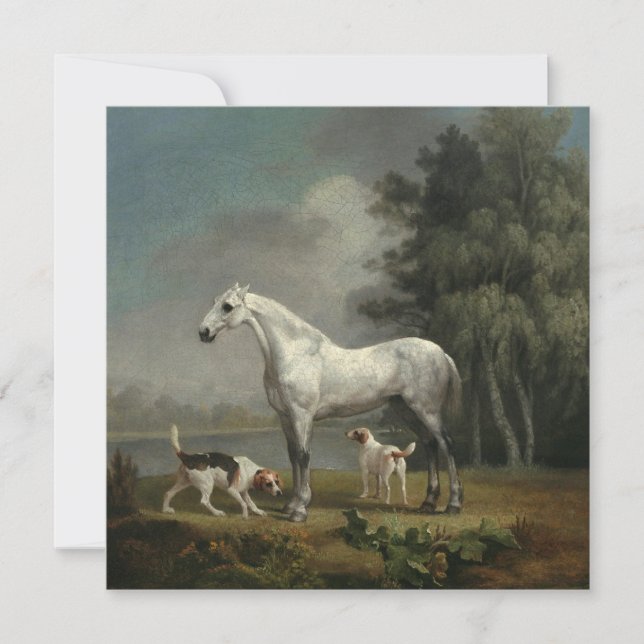 George Stubbs - A Dapple Grey Hunter Holiday Card (Front)