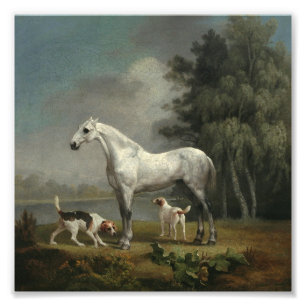 George Stubbs - A Dapple Grey Hunter Photo Print